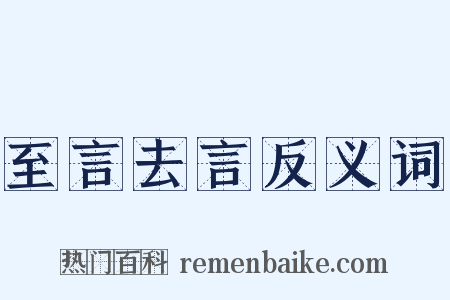 至言去言反义词是什么意思的图片